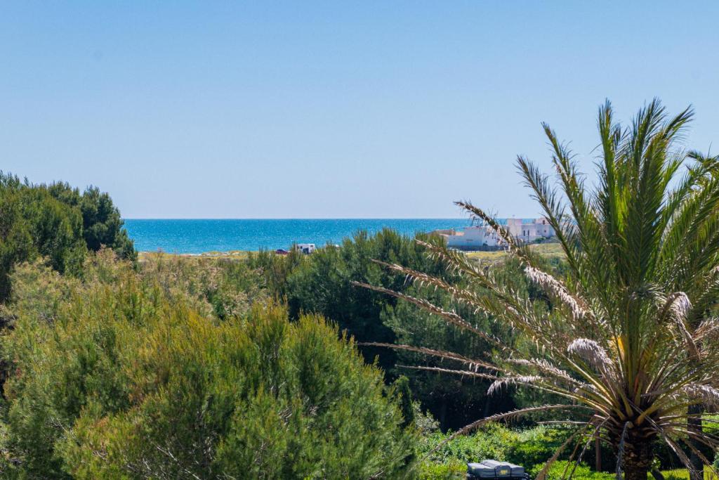 Entorno de El Saler, Valencia